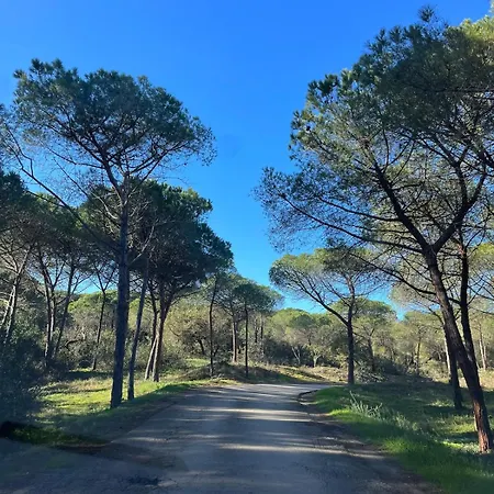 Arboriamar Lägenhet Marina di Sorso