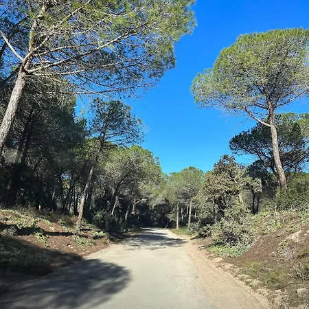 Arboriamar *